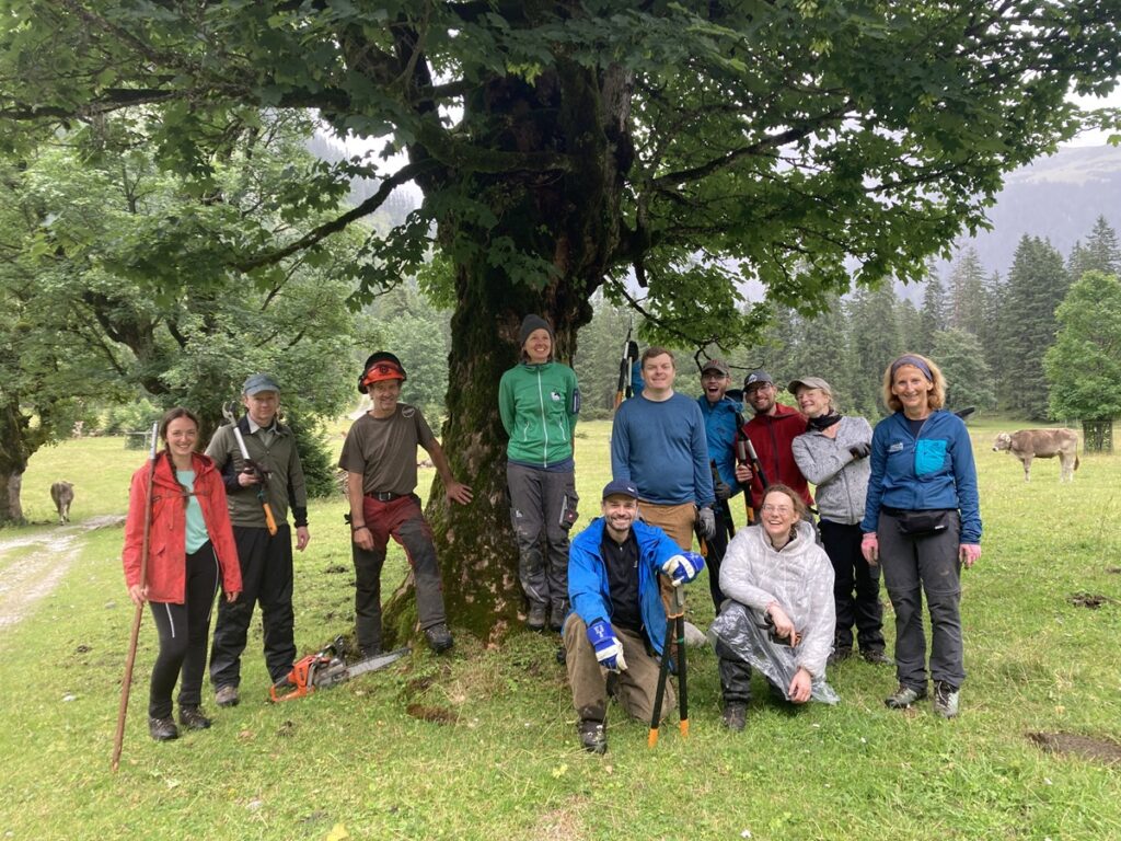 Eine Gruppe von zwölf Personen in Outdoor-Ausrüstung steht und kniet unter einem großen Baum auf einer Wiese mit Kühen und Wald im Hintergrund.