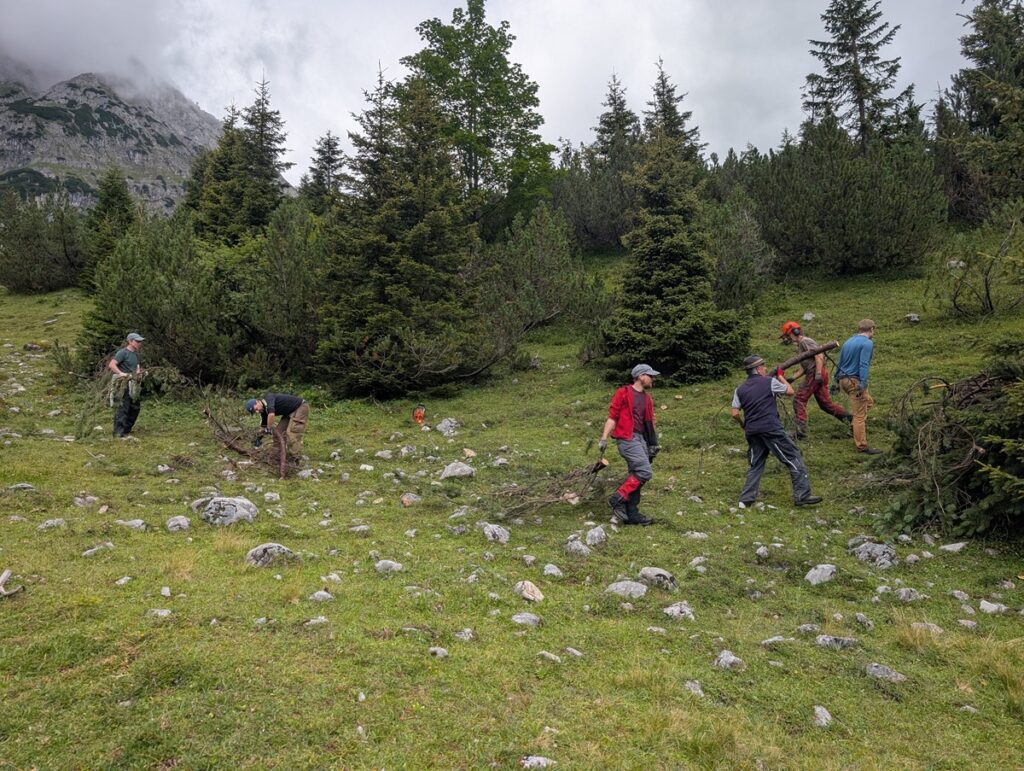 Sechs Personen arbeiten im Freien auf einem grasbewachsenen, felsigen und von Bäumen umgebenen Hügel und verwenden Werkzeuge, um den Boden umzugraben und zu reinigen.