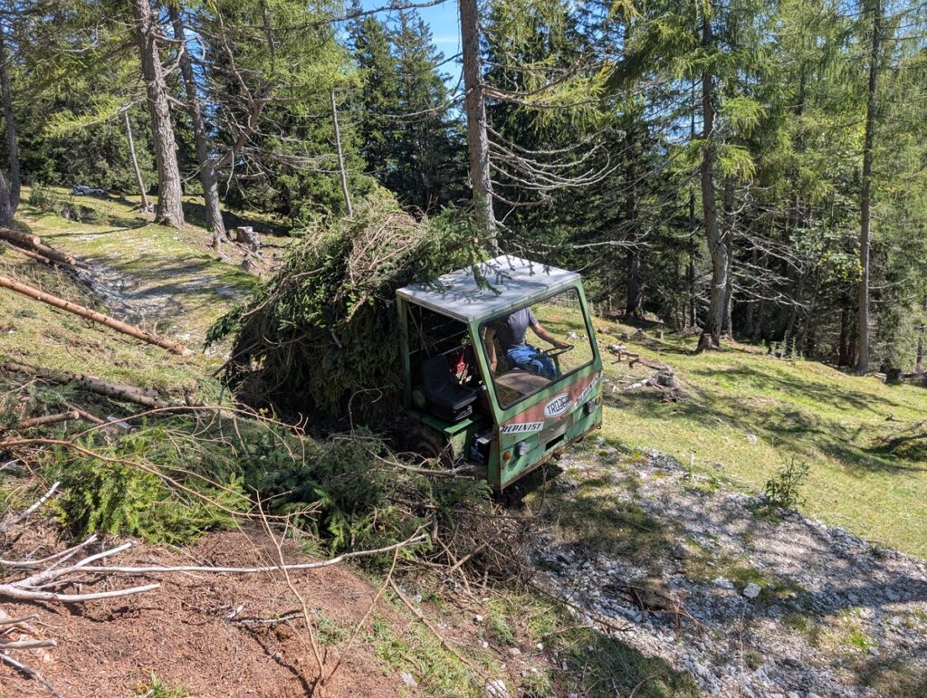 Ein kleines Nutzfahrzeug transportiert ein großes Bündel geschnittener Äste über einen unbefestigten Weg und hilft bei der Almpflege Martinsbergalm im Waldgebiet.