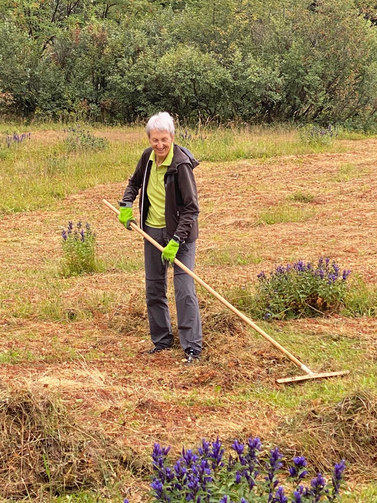 Eine ältere Frau steht im Freien auf einem Feld und nimmt an der Biotoppflege Issanger teil. Sie hält eine hölzerne Harke in der Hand und trägt Handschuhe, während im Hintergrund lila Wildblumen und grüne Sträucher zu sehen sind.