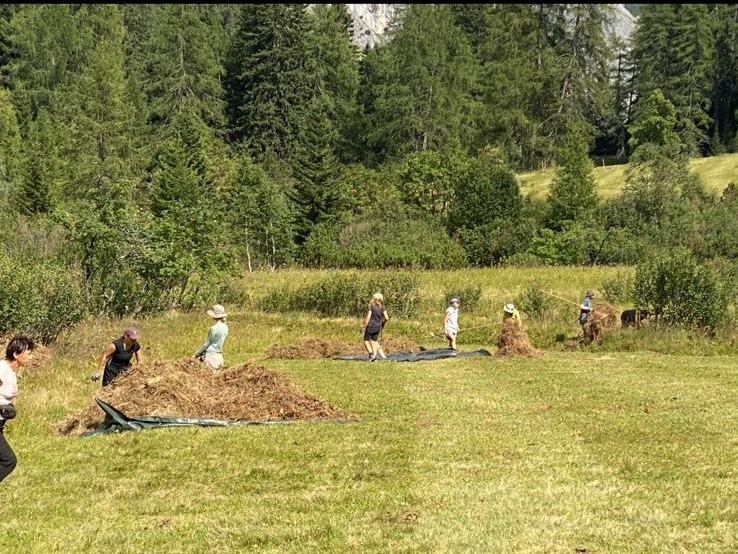 An einem sonnigen Tag rechen und sammeln mehrere Personen auf einer Wiese im Rahmen der Biotoppflege Issanger Heu zu Haufen zusammen, umgeben von grünen Bäumen und Sträuchern.