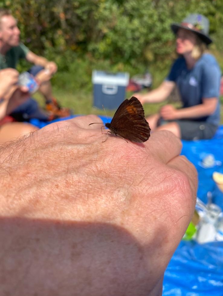 Ein kleiner brauner Schmetterling ruht auf der Hand eines Menschen, mit unscharfen Menschen und Picknickutensilien im Hintergrund - ein friedlicher Moment während der Biotoppflege Issanger.
