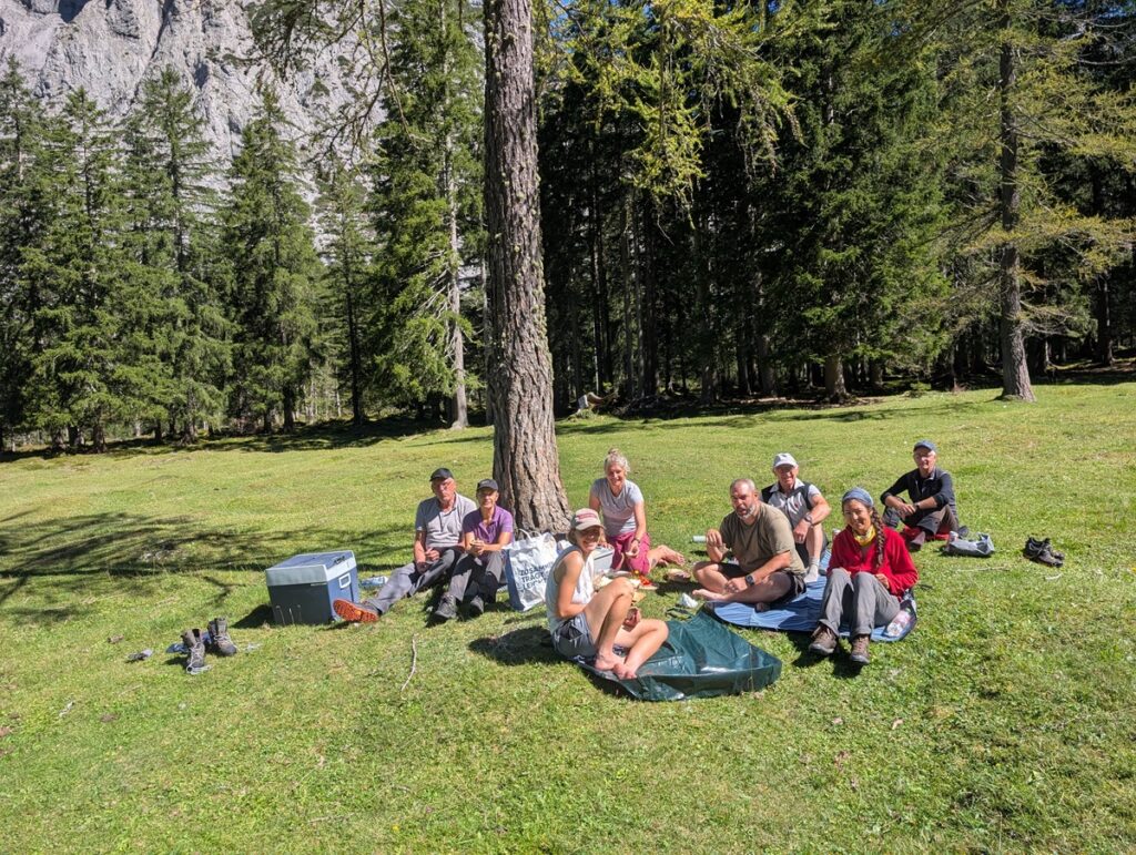 Eine Gruppe von Menschen sitzt im Gras und macht an einem sonnigen Tag ein Picknick unter einem Baum in einem Waldgebiet.