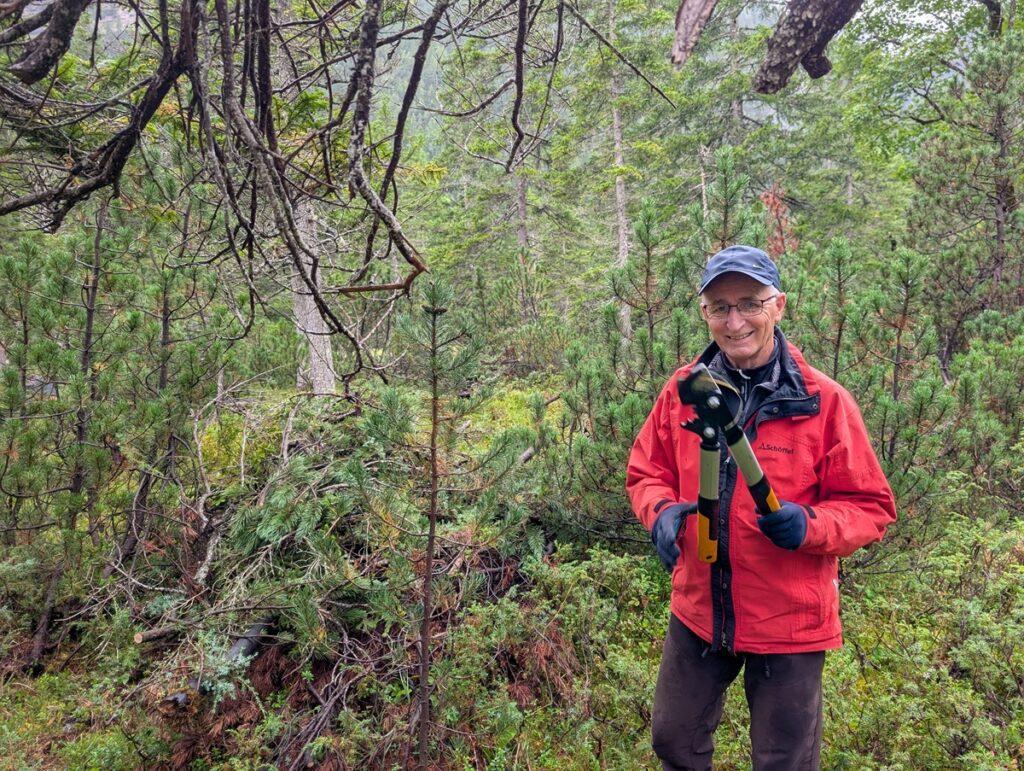 Eine Person in roter Jacke mit Stativ steht in einem dichten, grünen Wald mit Kiefern und überhängenden Ästen.