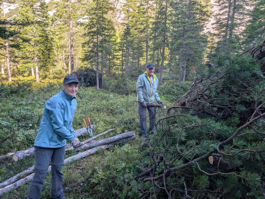 Zwei Personen mit Jacken und Hüten arbeiten auf einer Waldlichtung mit Werkzeugen, um Äste und Stämme zu schneiden und zu bewegen. Sie sind von dichten Bäumen und Grün umgeben.