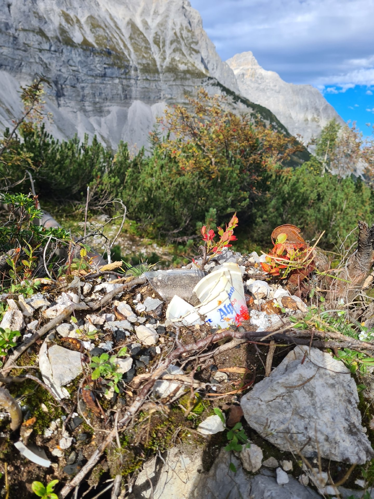 Ein weggeworfener Joghurtbecher und Trümmer liegen zwischen Felsen und Pflanzen in der Nähe der Kastenalm, die in einer Berglandschaft mit Kiefern und felsigen Klippen im Hintergrund liegt.