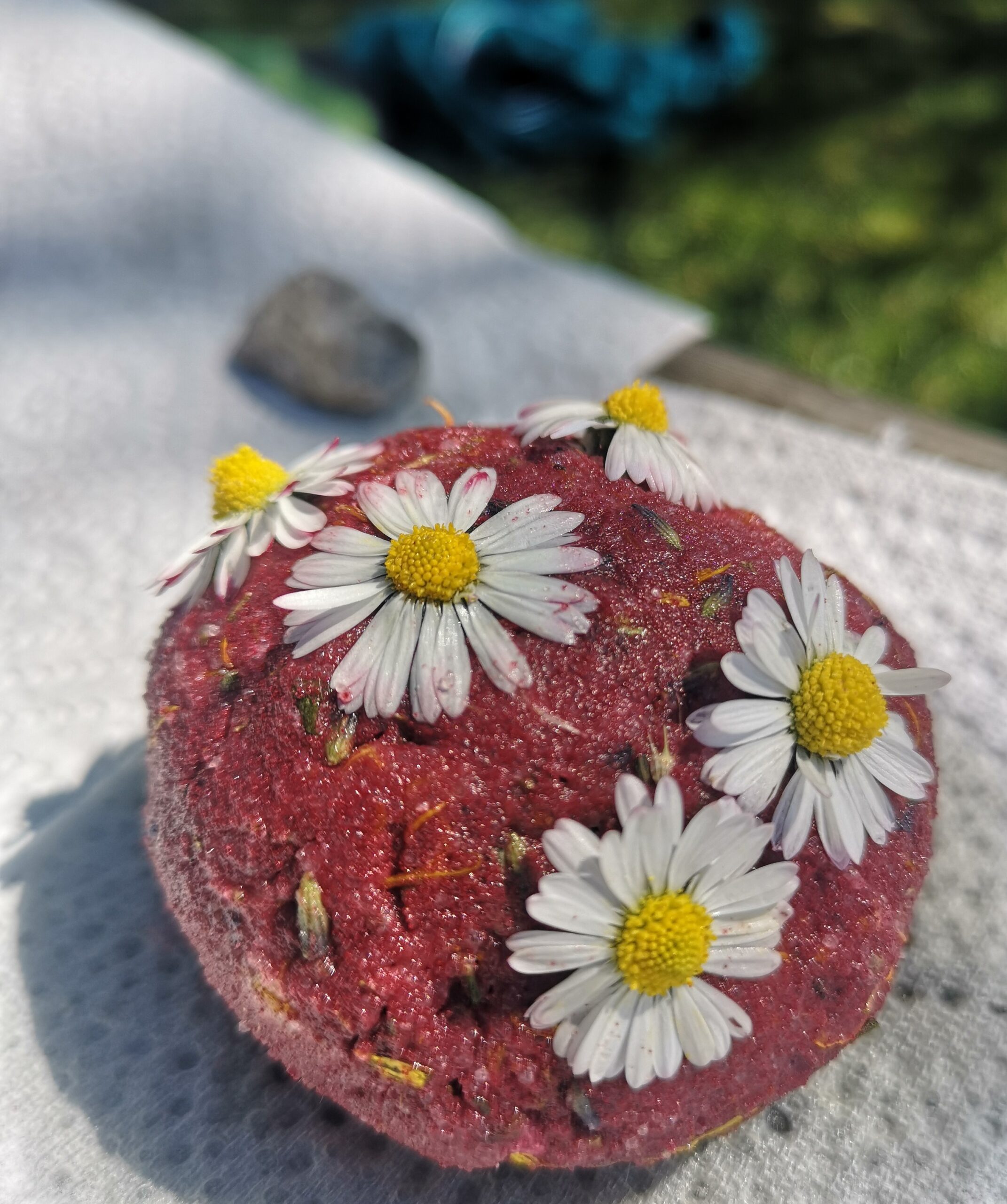 Ein runder, strukturierter, rötlicher Gegenstand, der mit kleinen weißen Gänseblümchen verziert ist, liegt auf einem weißen Papiertuch im Freien und ist bereit für eine Junior-Ranger-Naturaktivität.