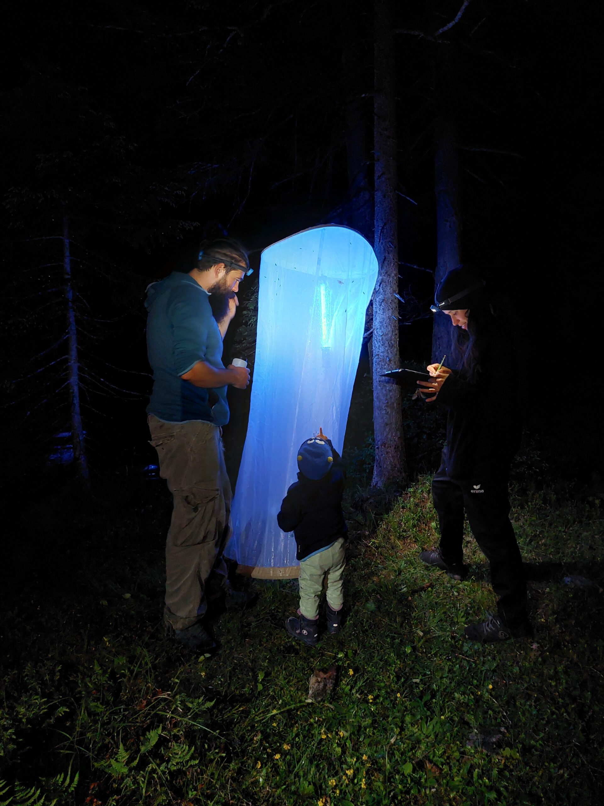 Drei Personen stehen in der Nähe eines großen beleuchteten Netzes oder Zeltes im nächtlichen Wald und übernehmen die Rolle des Junior Rangers, während sie etwas darin beobachten oder untersuchen.