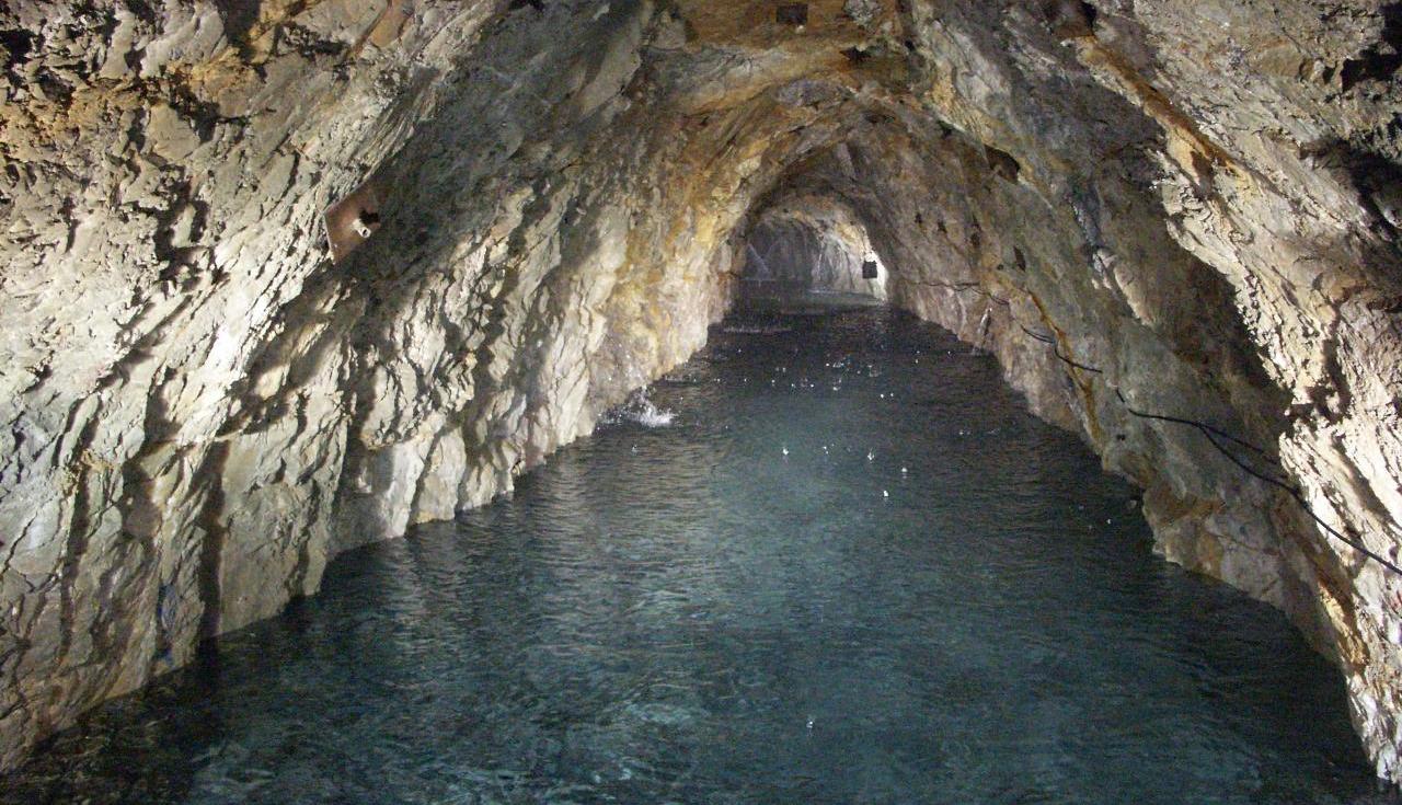 Ein felsiger Tunnel mit unebenen Steinwänden, der teilweise mit klarem Wasser gefüllt ist, erstreckt sich in die Ferne und lädt jeden Junior-Ranger dazu ein, seine geheimnisvollen Tiefen zu erkunden.