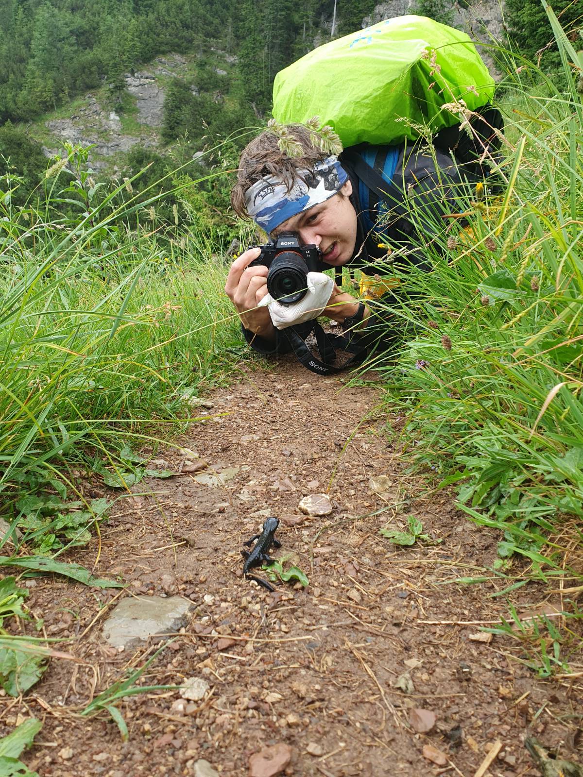 Eine Person mit einem Rucksack hockt auf einem unbefestigten Weg, vielleicht erkundet sie Jobs & Praktika im Rahmen einer Feldforschung, während sie eine kleine schwarze Amphibie im grünen Gras aus der Nähe fotografiert.