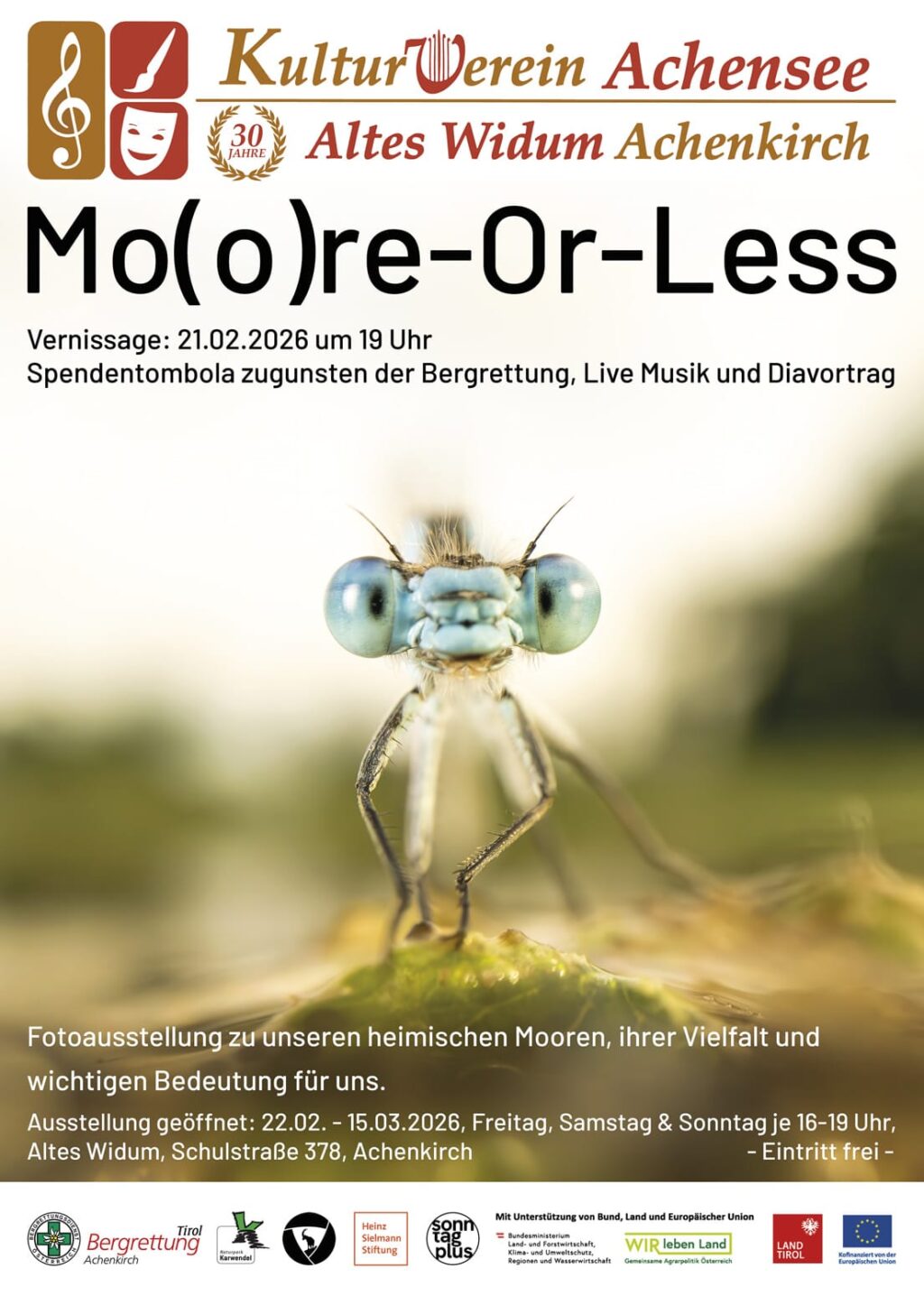 Nahaufnahme einer Libelle auf einem Flugblatt, das für eine Kunstausstellung über die Karwendelmoore wirbt, mit Veranstaltungshinweisen und Logos am unteren Rand.
