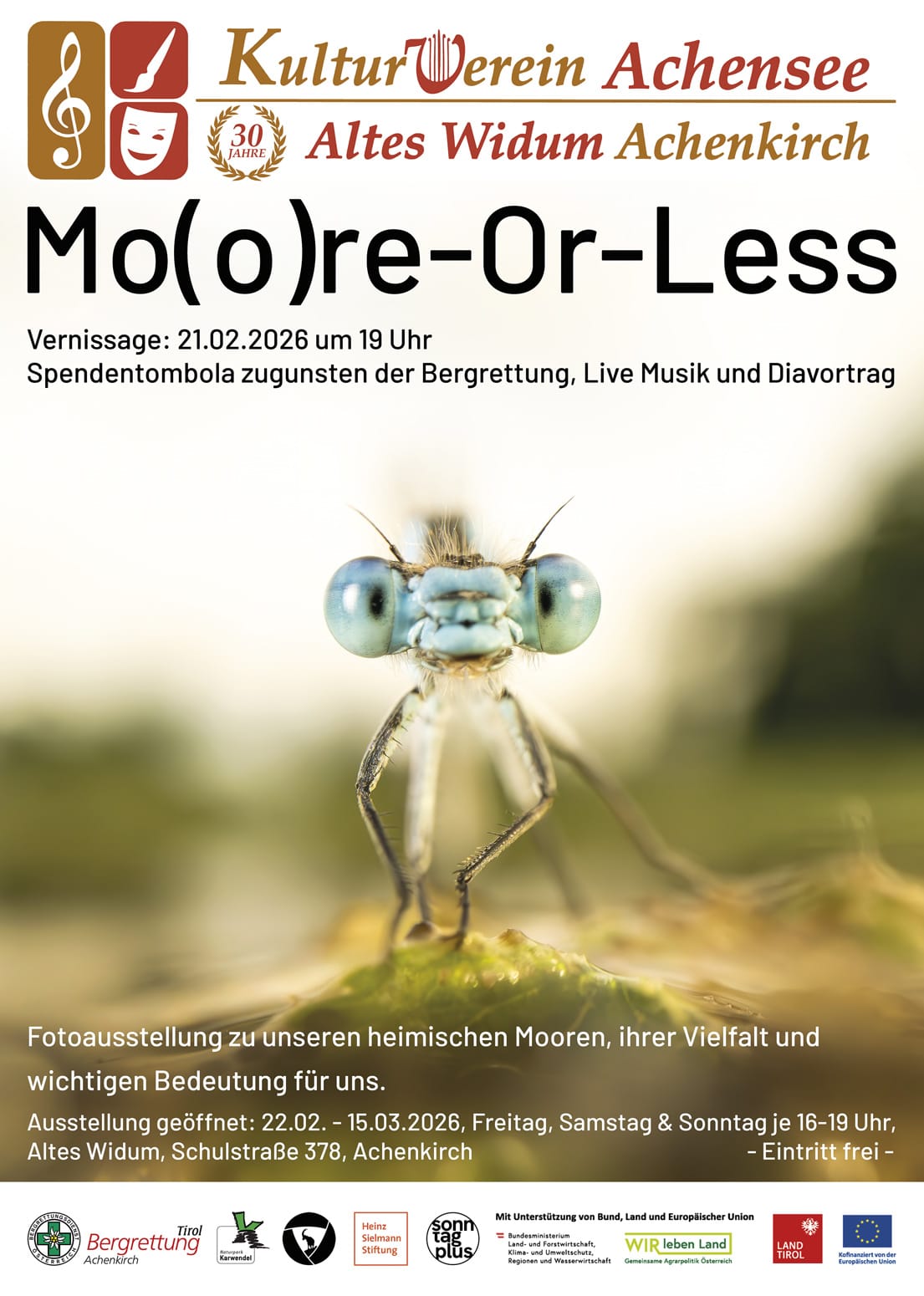 Nahaufnahme einer Libelle auf einem Flugblatt, das für eine Kunstausstellung über die Karwendelmoore wirbt, mit Veranstaltungshinweisen und Logos am unteren Rand.