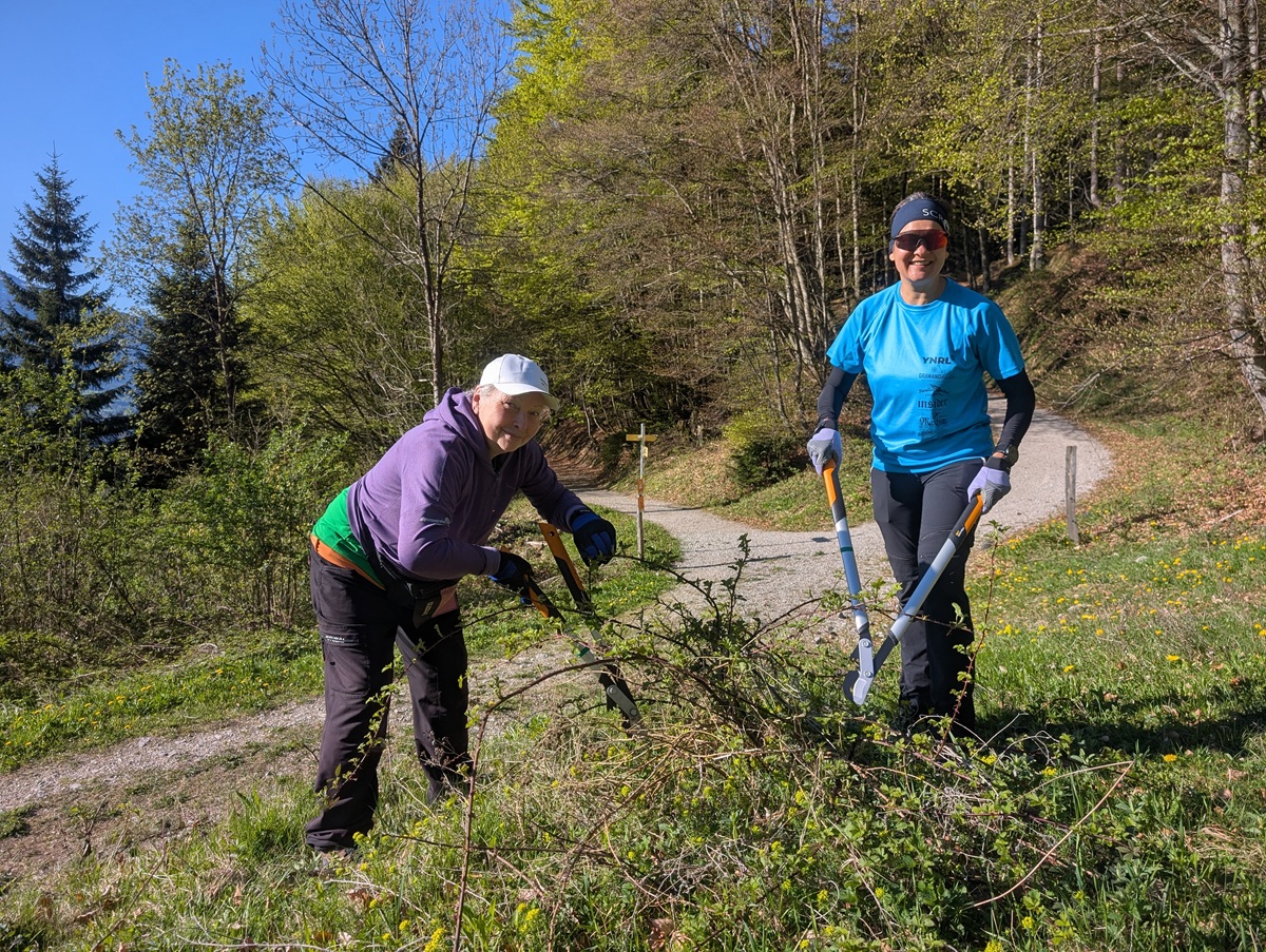 Zwei Personen, die an einem sonnigen Tag im Freien am Waldweg bei der Arzler Alm Almpflege betreiben und mit Gartengeräten Äste stutzen. Sie tragen Handschuhe und mehrschichtige Kleidung.