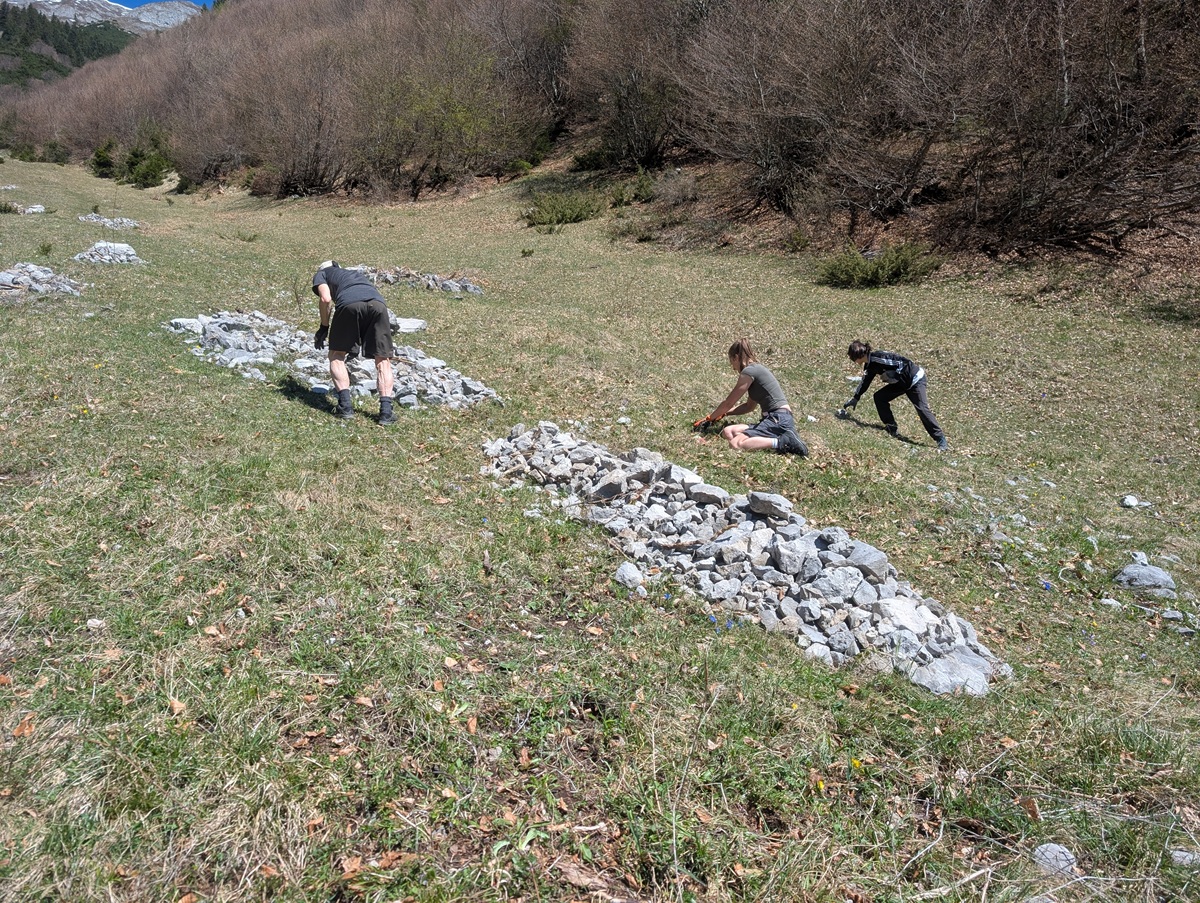 Drei Personen hocken gebückt auf einer Wiese und stapeln Steine. Sie üben Almpflege auf der malerischen Arzler Alm mit verstreuten Steinen und Bäumen im Hintergrund.