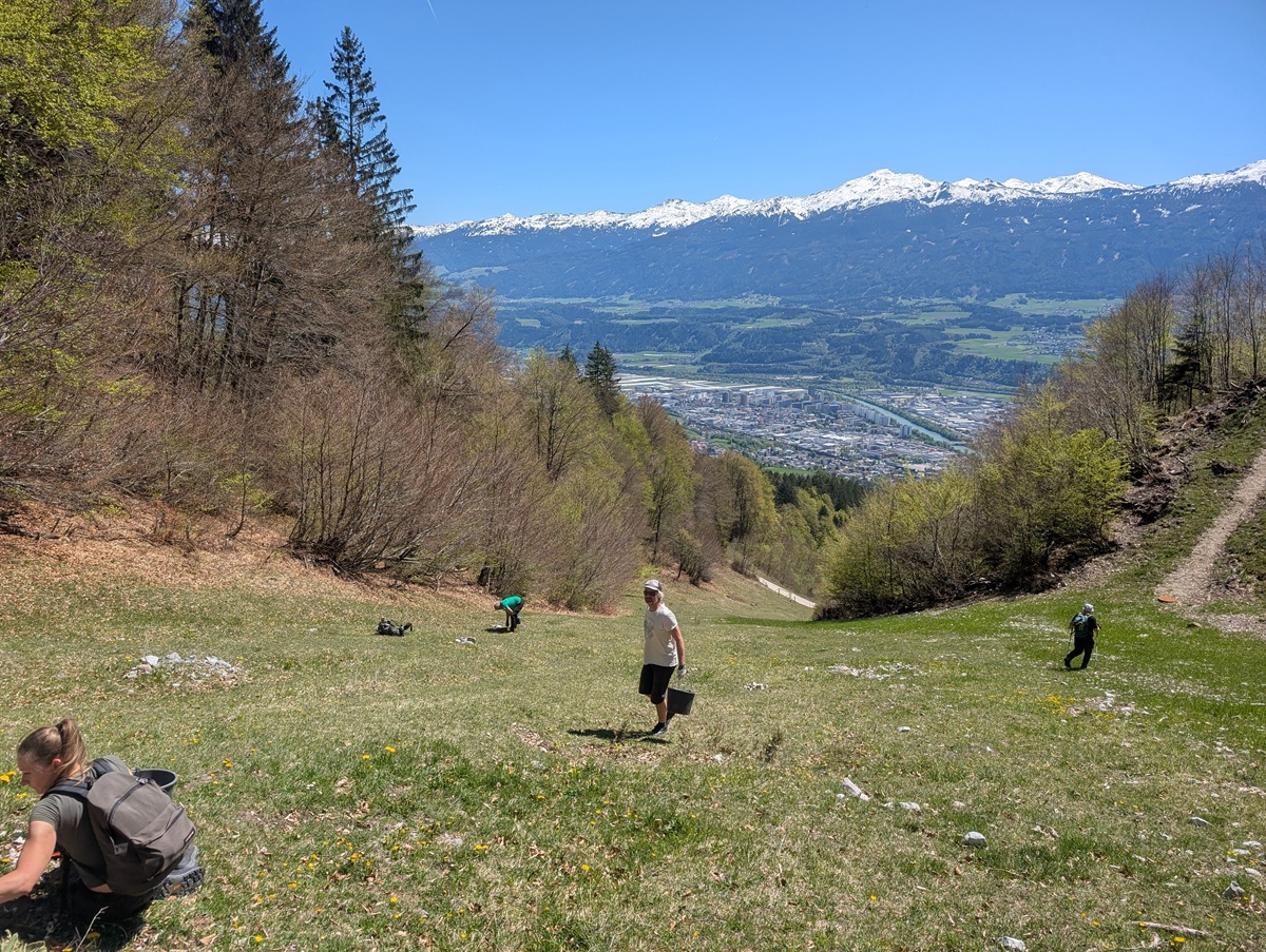 Mehrere Personen sitzen verstreut auf einem grasbewachsenen Hügel in der Nähe der Arzler Alm. Im Hintergrund sind Bäume und schneebedeckte Berge unter einem klaren blauen Himmel zu sehen. Im Tal darunter ist eine Stadt zu sehen, die die Schönheit von Almpflege in dieser idyllischen Umgebung unterstreicht.