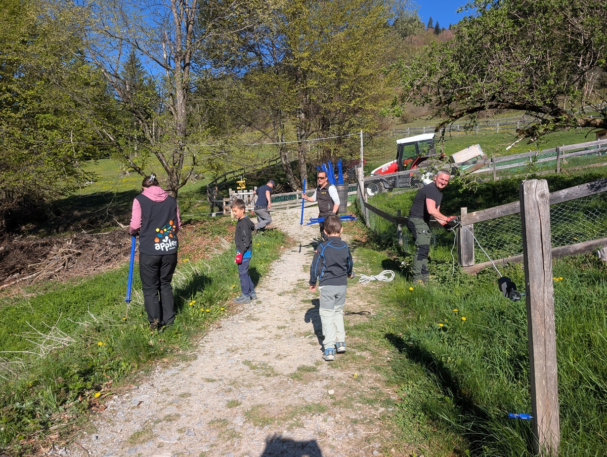 Eine Gruppe von Erwachsenen und Kindern arbeitet an einem sonnigen Tag gemeinsam im Freien auf einem unbefestigten Weg auf der Arzler Alm mit Werkzeugen für die Almpflege in der Nähe eines Zauns, umgeben von Grün und Bäumen.