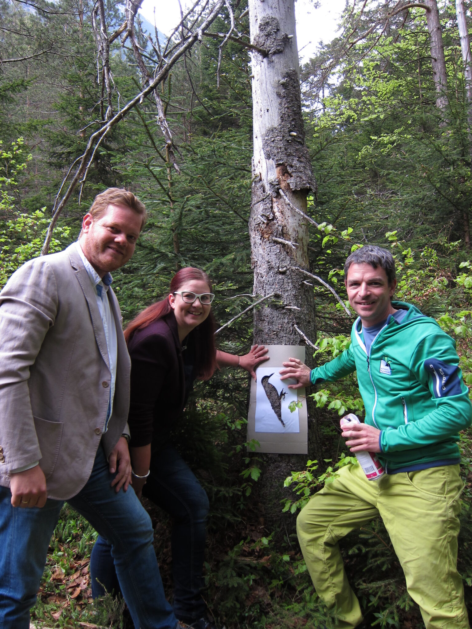 Drei Personen stehen in einem Wald neben einem Baum mit dem Bild einer Fledermaus; zwei von ihnen zeigen auf das Bild, um die Verbindung zwischen Wildtieren und Lebensbäumen zu verdeutlichen.
