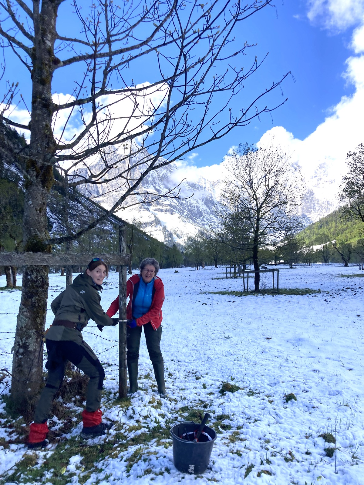 Zwei Personen stehen an einem Baum in einem verschneiten Feld mit Bergen im Hintergrund, halten ein Werkzeug und lächeln in die Kamera. Ein schwarzer Eimer mit Werkzeugen für Zaunreparaturen am Ahornboden steht in der Nähe auf dem Boden.