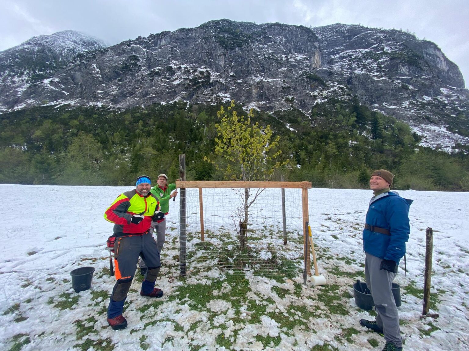 Drei Personen stehen neben einem eingezäunten jungen Baum auf einem verschneiten Feld am Ahornboden, mit Werkzeugen und Eimern in der Nähe - vielleicht arbeiten sie an Zaunreparaturen inmitten der Bergkulisse.