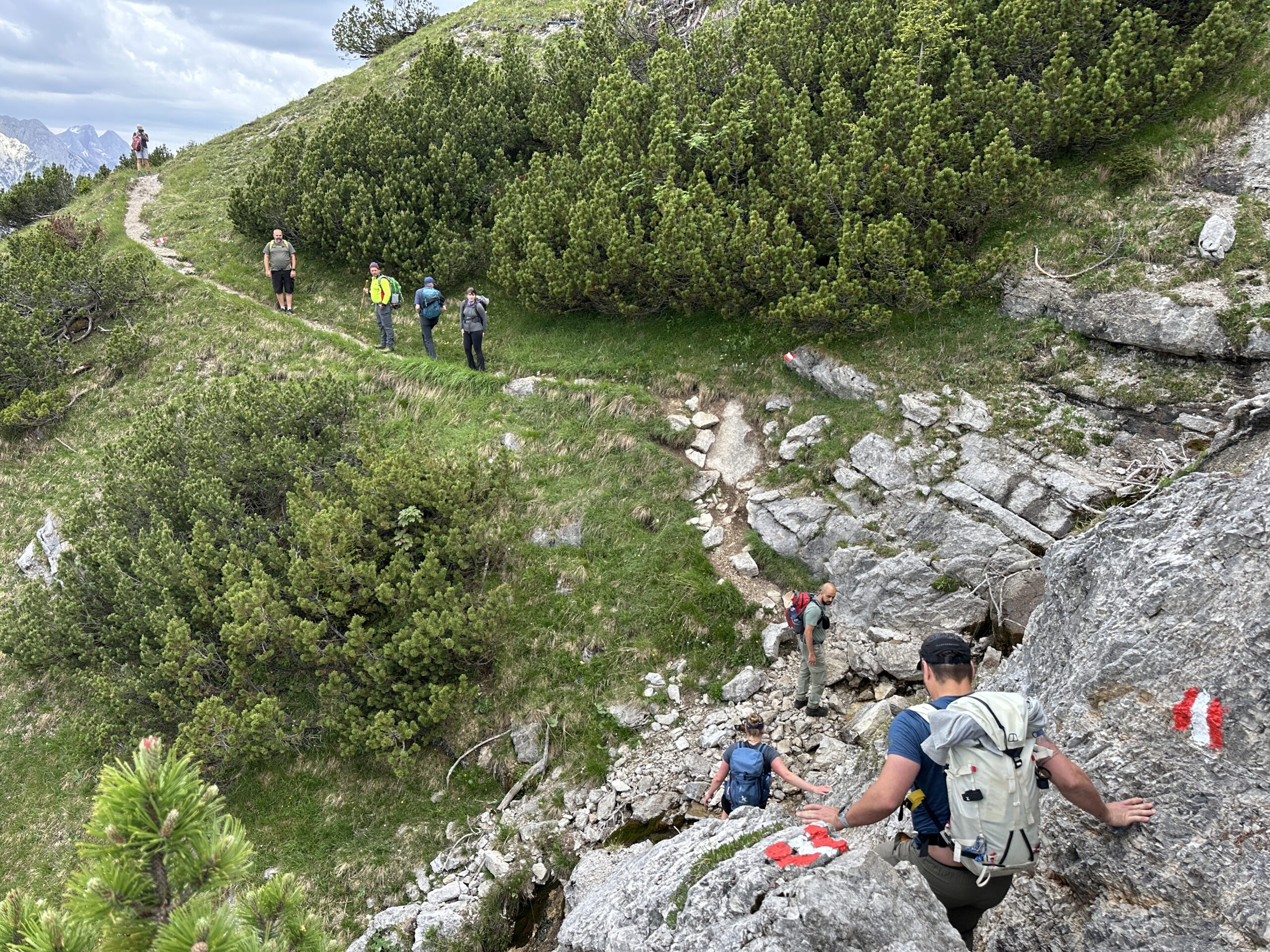 Bergwaldprojekt Umweltbaustelle Almpflege Plumsjochhütte 2026 Team Karwendel Wanderer mit Rucksäcken folgen einem markierten Bergweg in der Nähe von Zaunreparaturen Ahornboden; einige gehen auf einem grasbewachsenen Pfad, andere klettern zwischen grünen Büschen und Bäumen über Felsen.