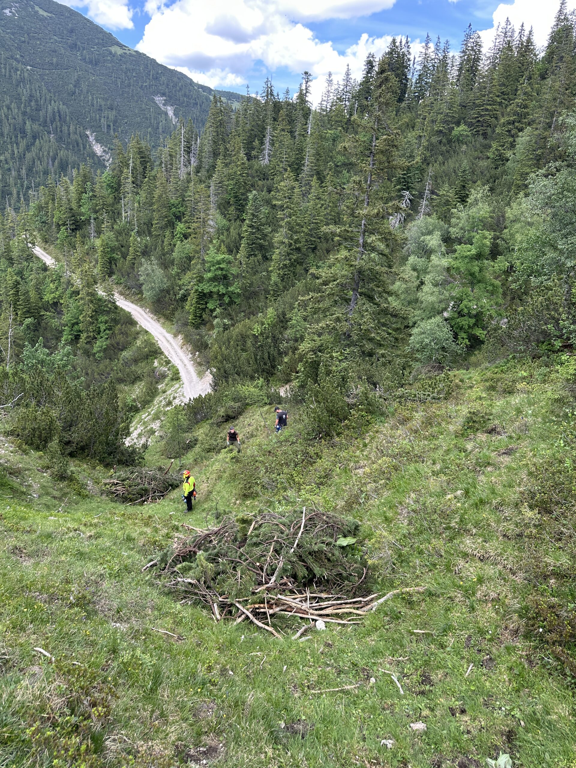 Bergwaldprojekt Umweltbaustelle Almpflege Plumsjochhütte 2026 Team Karwendel Eine Gruppe von Menschen arbeitet an einem grasbewachsenen Hang in der Nähe von „Zaunreparaturen Ahornboden“ und räumt unter teilweise bewölktem Himmel an einer gewundenen Feldweg in einer bewaldeten Berglandschaft Äste beiseite.