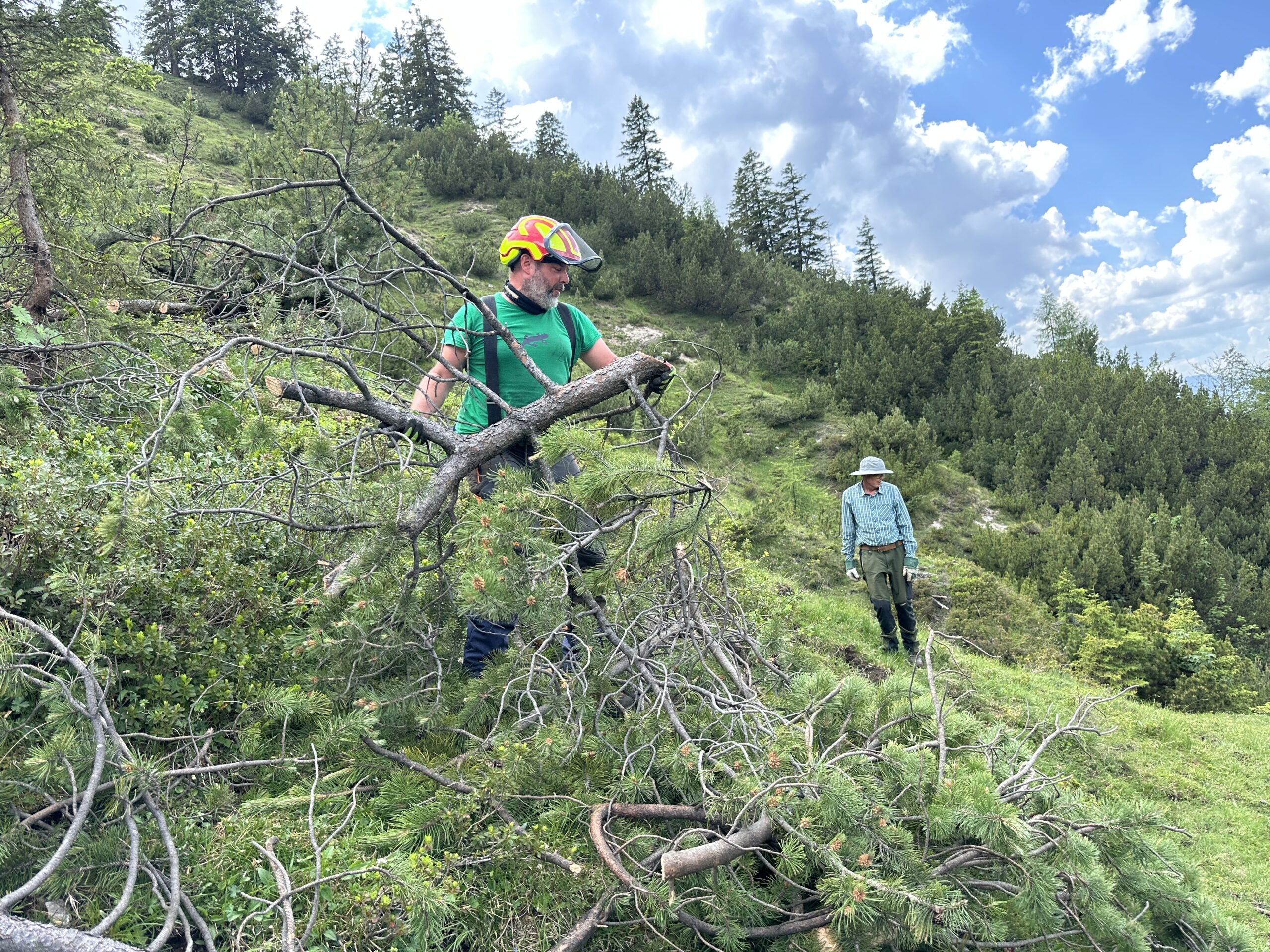 Bergwaldprojekt Umweltbaustelle Almpflege Plumsjochhütte 2026 Team Karwendel Zwei Personen, die im Freien an einem grasbewachsenen Hang in der Nähe von Ahornboden arbeiten; eine von ihnen bewegt einen großen Ast, während die andere daneben steht; beide tragen Hüte und Outdoor-Kleidung und helfen möglicherweise bei Zaunreparaturen in dieser landschaftlich reizvollen Gegend.