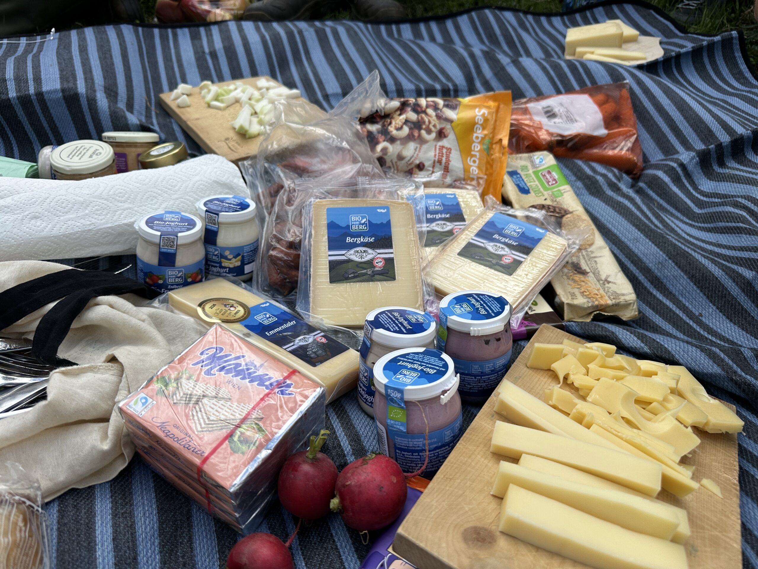Bergwaldprojekt Umweltbaustelle Almpflege Plumsjochhütte 2026 Team Karwendel Ein Picknick auf einer blau gestreiften Decke – perfekt nach den Zaunreparaturen in Ahornboden –, bestehend aus verschiedenen Käsesorten, Joghurtbechern, abgepackten Snacks, zwei Radieschen, Papiertüchern und geschnittenem Gemüse.