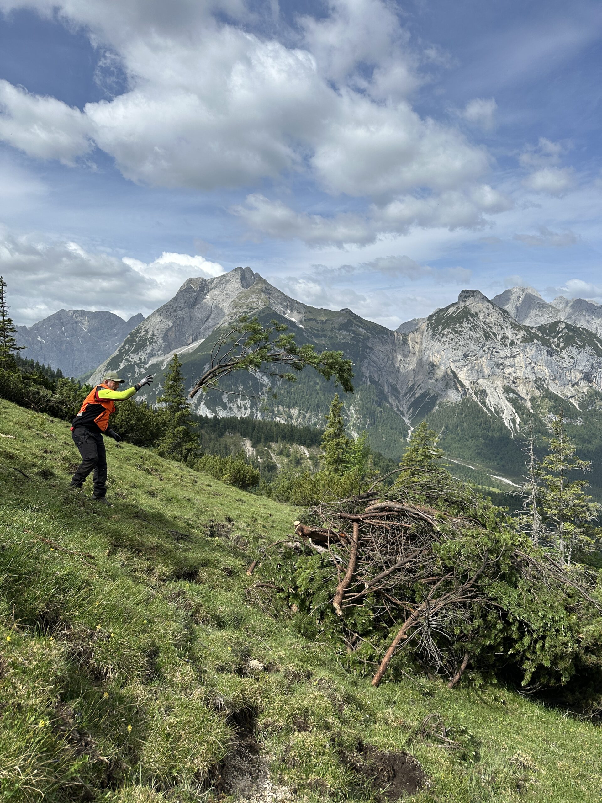 Bergwaldprojekt Umweltbaustelle Almpflege Plumsjochhütte 2026 Team Karwendel Eine Person in orangefarbener Schutzkleidung zieht an einem Seil, das an einem schräg stehenden Baum auf einem grasbewachsenen Hang befestigt ist, im Hintergrund sind Berge und Wolken zu sehen – vielleicht arbeitet sie gerade an den Zaunreparaturen in Ahornboden.