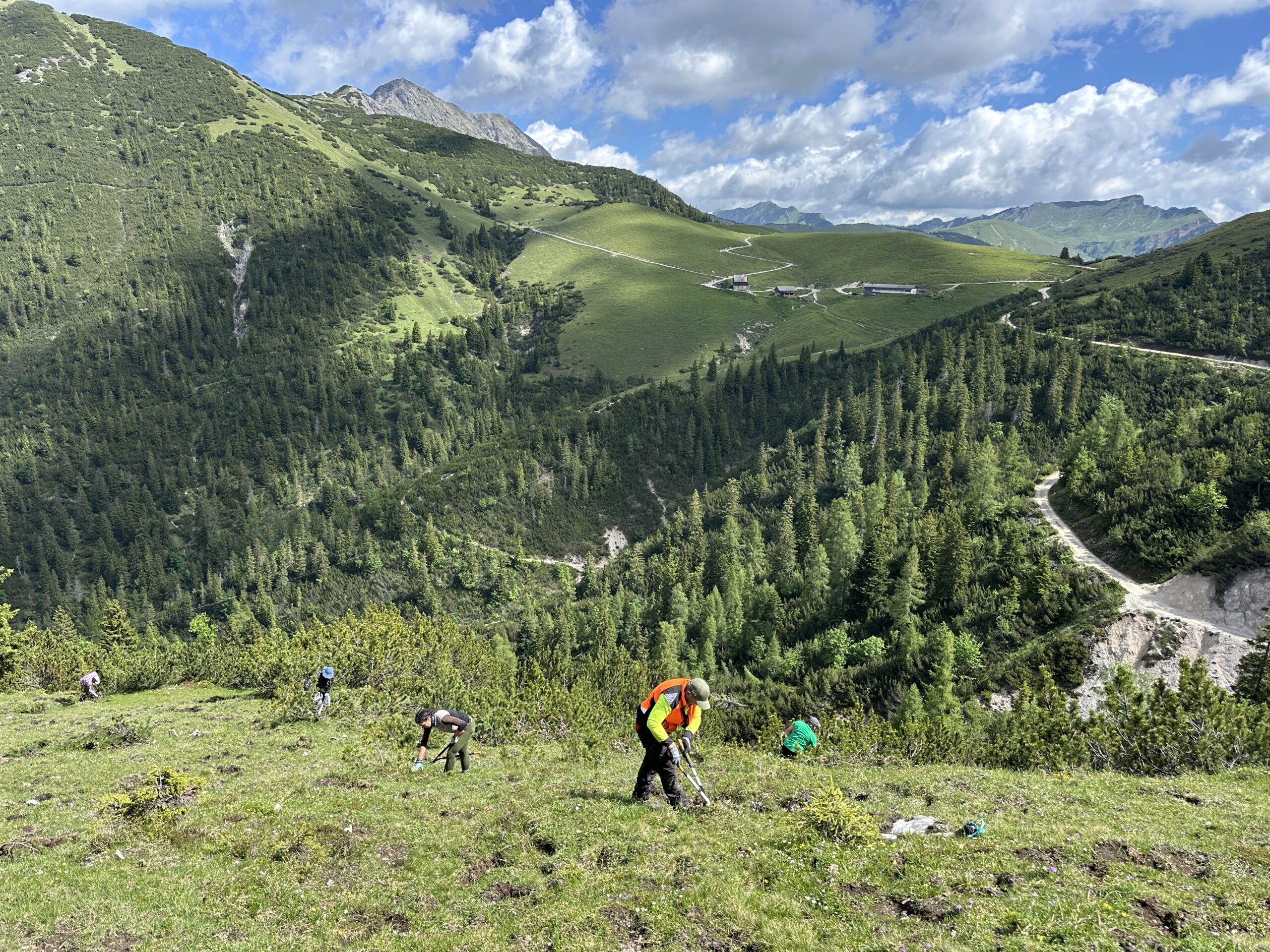 Bergwaldprojekt Umweltbaustelle Almpflege Plumsjochhütte 2026 Team Karwendel Mehrere Personen in Outdoor-Kleidung und Sicherheitswesten arbeiten an Zaunreparaturen am Ahornboden, einem grasbewachsenen Hang, der von Bergen, Kiefern und gewundenen Pfaden umgeben ist, unter einem teilweise bewölkten Himmel.