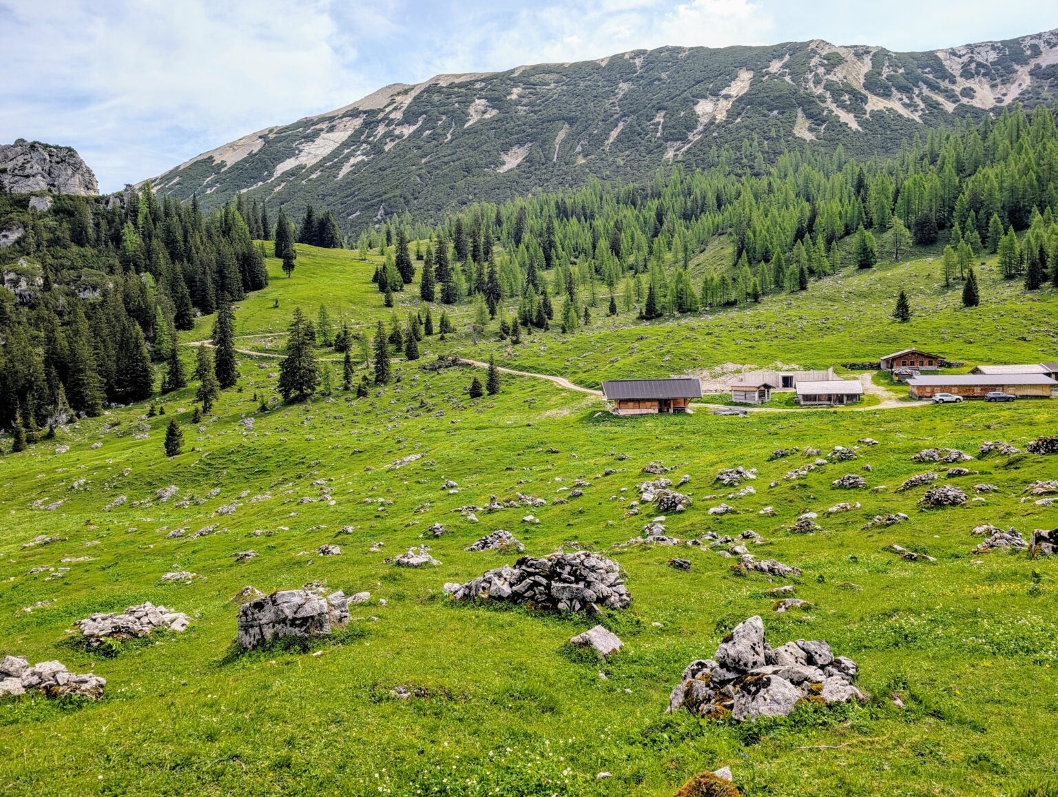 Ein grüner Berghang mit vereinzelten Felsen, Bäumen und einer Ansammlung von Holzgebäuden unter einem teilweise bewölkten Himmel – eine inspirierende Kulisse, die oft als Schauplatz für aktuelle Forschungen zu alpinen Ökosystemen gewählt wird.