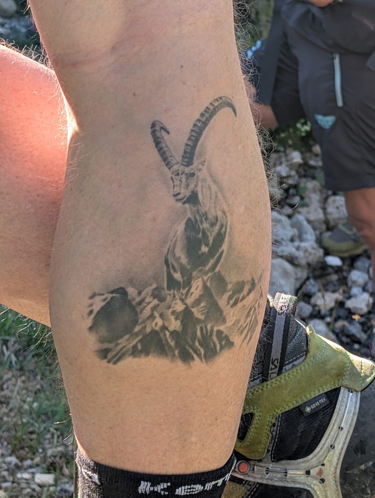 Auf dem Unterschenkel einer Person ist ein Tattoo zu sehen, das eine Bergziege mit großen, geschwungenen Hörnern zeigt, die auf felsigem Gelände steht und die Auswirkungen des Klimawandels in den Bergen symbolisiert.
