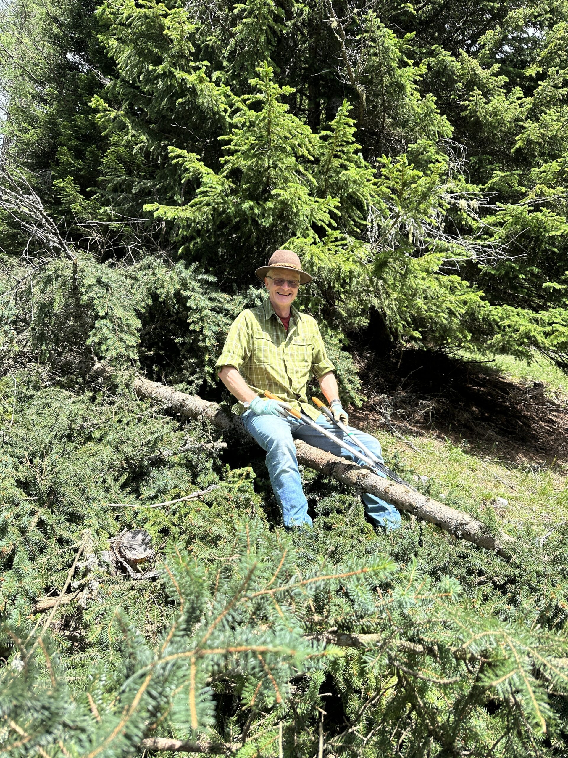 Bergwaldprojekt Umweltbaustelle Almpflege Plumsjochhütte 2026 Team Karwendel Eine Person mit Hut und grünem Hemd sitzt auf einem umgestürzten Ast in einem Waldgebiet, das von immergrünen Bäumen umgeben ist, und genießt die ruhige Landschaft der Almpflege Martinsbergalm.