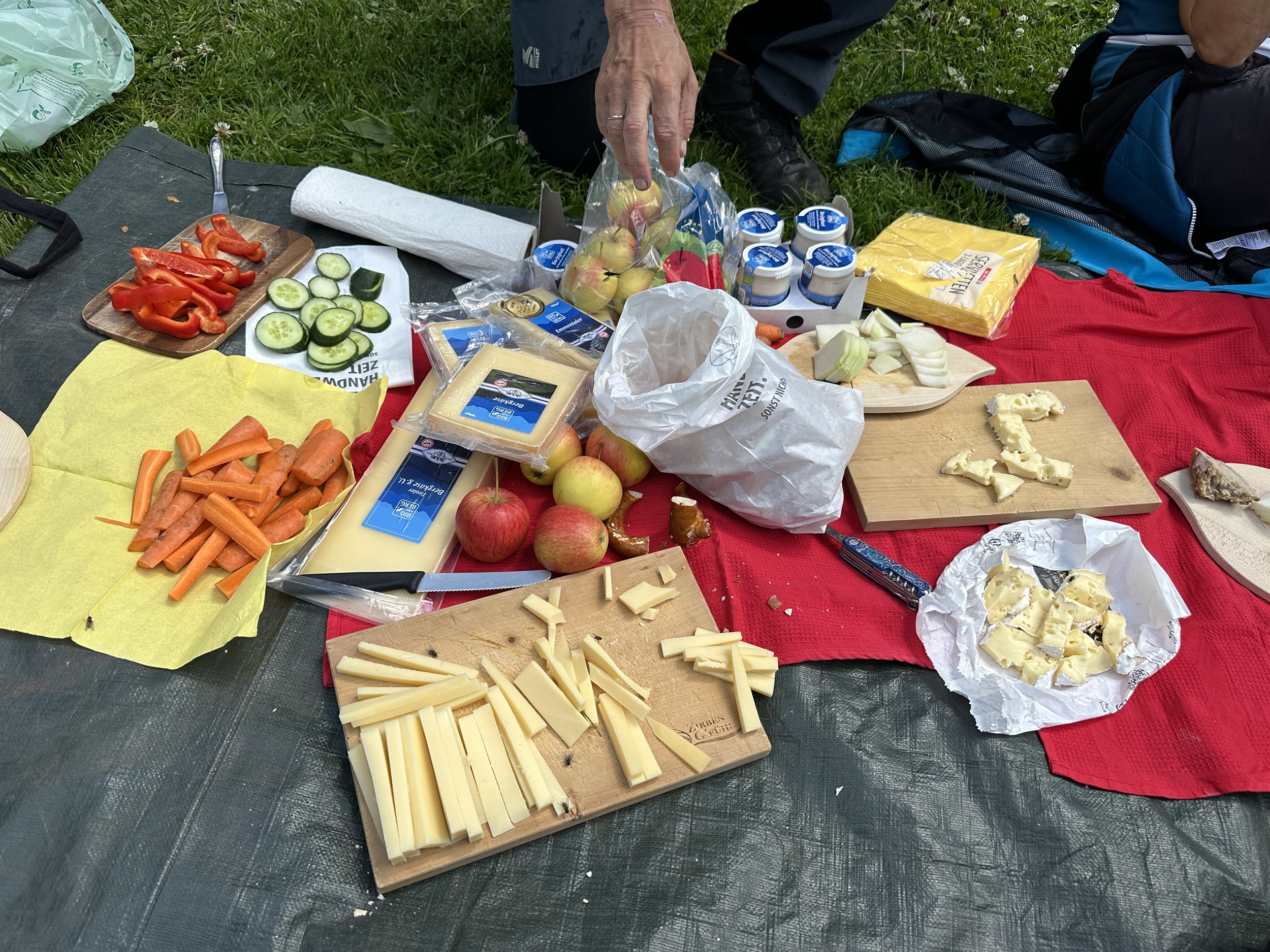 Bergwaldprojekt Umweltbaustelle Almpflege Plumsjochhütte 2026 Team Karwendel Ein Picknick auf einer Decke mit Käsescheiben, Äpfeln, Möhren, Gurken, roter Paprika, Joghurt, Brot und verpackten Lebensmitteln von der Almpflege Martinsbergalm, in das eine Hand hineingreift.