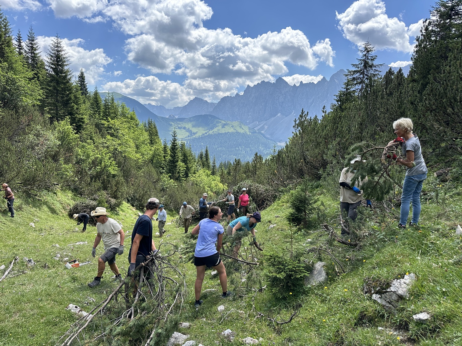 Eine Gruppe von Menschen, die im Rahmen der Almpflege Äste und Geröll von einer Bergwiese räumen, umgeben von Bäumen, mit Bergen und Wolken im Hintergrund.