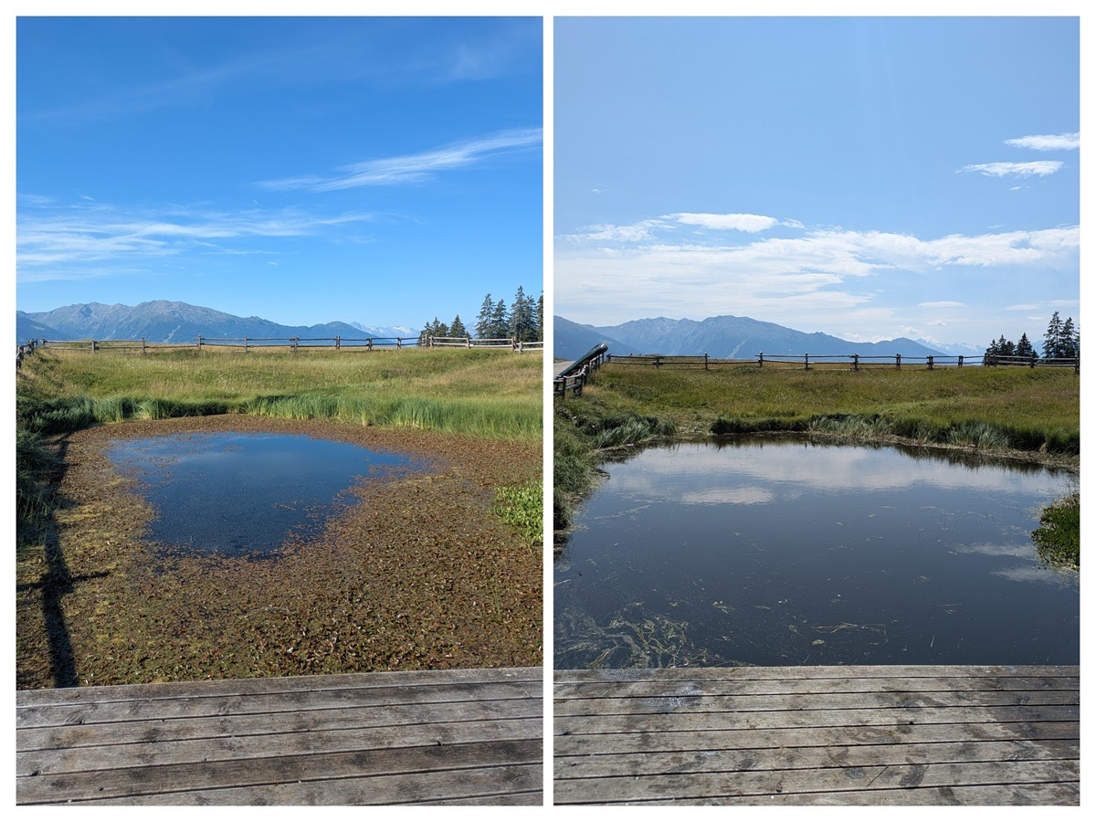 Auf den nebeneinander angeordneten Fotos ist ein kleiner Teich aus derselben Perspektive zu sehen. Auf dem linken Bild ist mehr Vegetation im Teich zu erkennen; auf dem rechten Bild ist das Wasser klarer und offener. Berge und Himmel sind zu sehen.