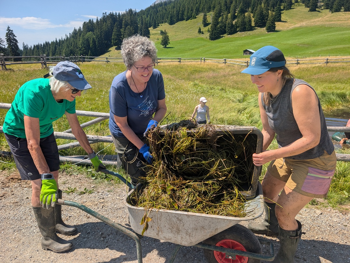 Drei Personen in Outdoor-Kleidung heben an einem sonnigen Tag eine mit Gras und Unkraut gefüllte Schubkarre an; im Hintergrund ist eine hügelige, grasbewachsene Landschaft mit Bäumen und einem Holzzaun zu sehen.
