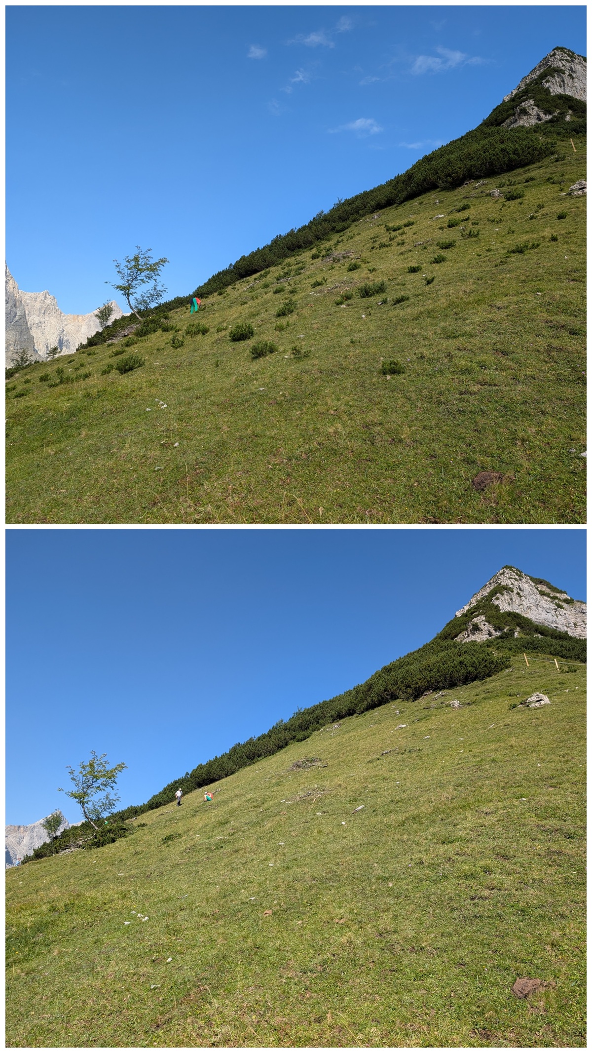 Zwei ähnliche Fotos zeigen einen grasbewachsenen Hang mit kleinen Sträuchern und einem einzelnen Baum, die die sorgfältige Almpflege auf der Lalidersalm veranschaulichen, mit Bergen im Hintergrund und blauem Himmel.