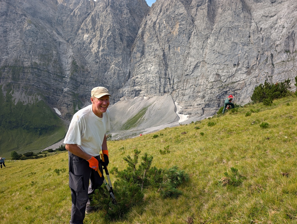 Ein Mann in weißem Hemd, Mütze und orangefarbenen Handschuhen schneidet im Rahmen der Initiative „Almpflege Lalidersalm“ einen kleinen Busch an einem grasbewachsenen Hang zurück, im Hintergrund sind felsige Berge zu sehen. Etwas weiter entfernt arbeitet eine weitere Person.