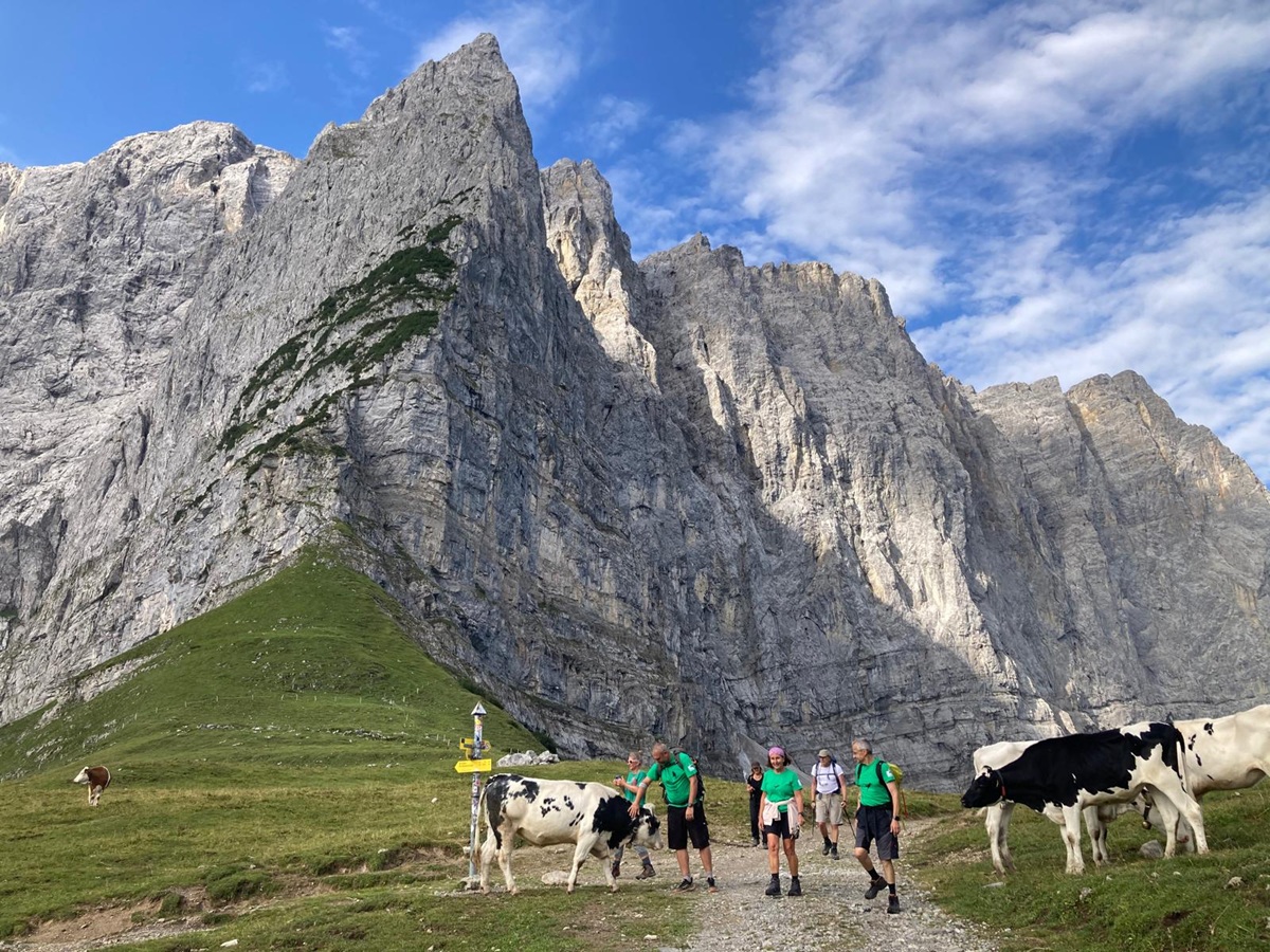 Vier Wanderer gehen auf einem Bergweg in der Nähe von weidenden Kühen spazieren und genießen die wunderschöne Landschaft, die durch die traditionelle Almpflege an der Lalidersalm geprägt ist, mit hohen Felswänden und einem teilweise bewölkten Himmel im Hintergrund.