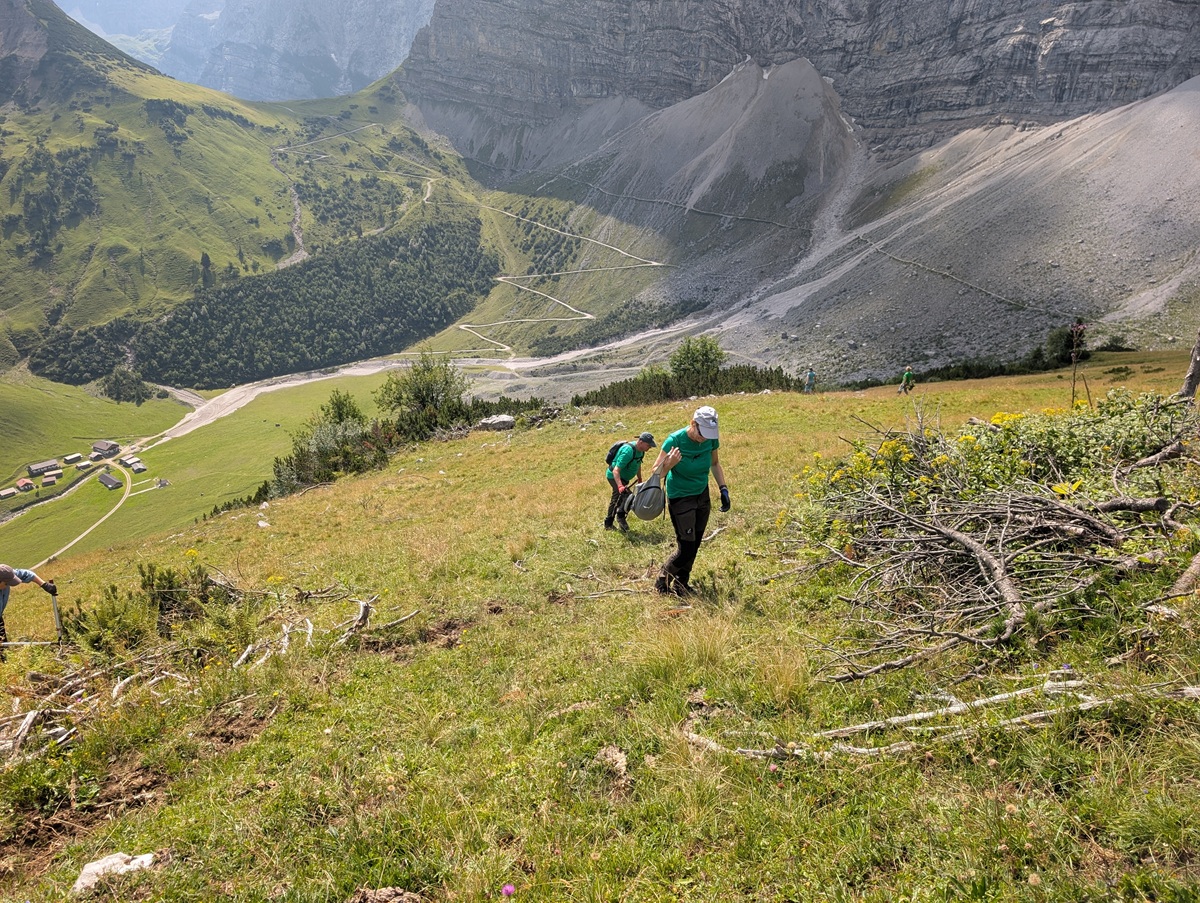 Im Rahmen des Projekts „Almpflege Lalidersalm“ wandern mehrere Menschen in grünen Hemden und Mützen einen grasbewachsenen Hang hinauf, während im Hintergrund die Berglandschaft und kurvenreiche Straßen zu sehen sind.
