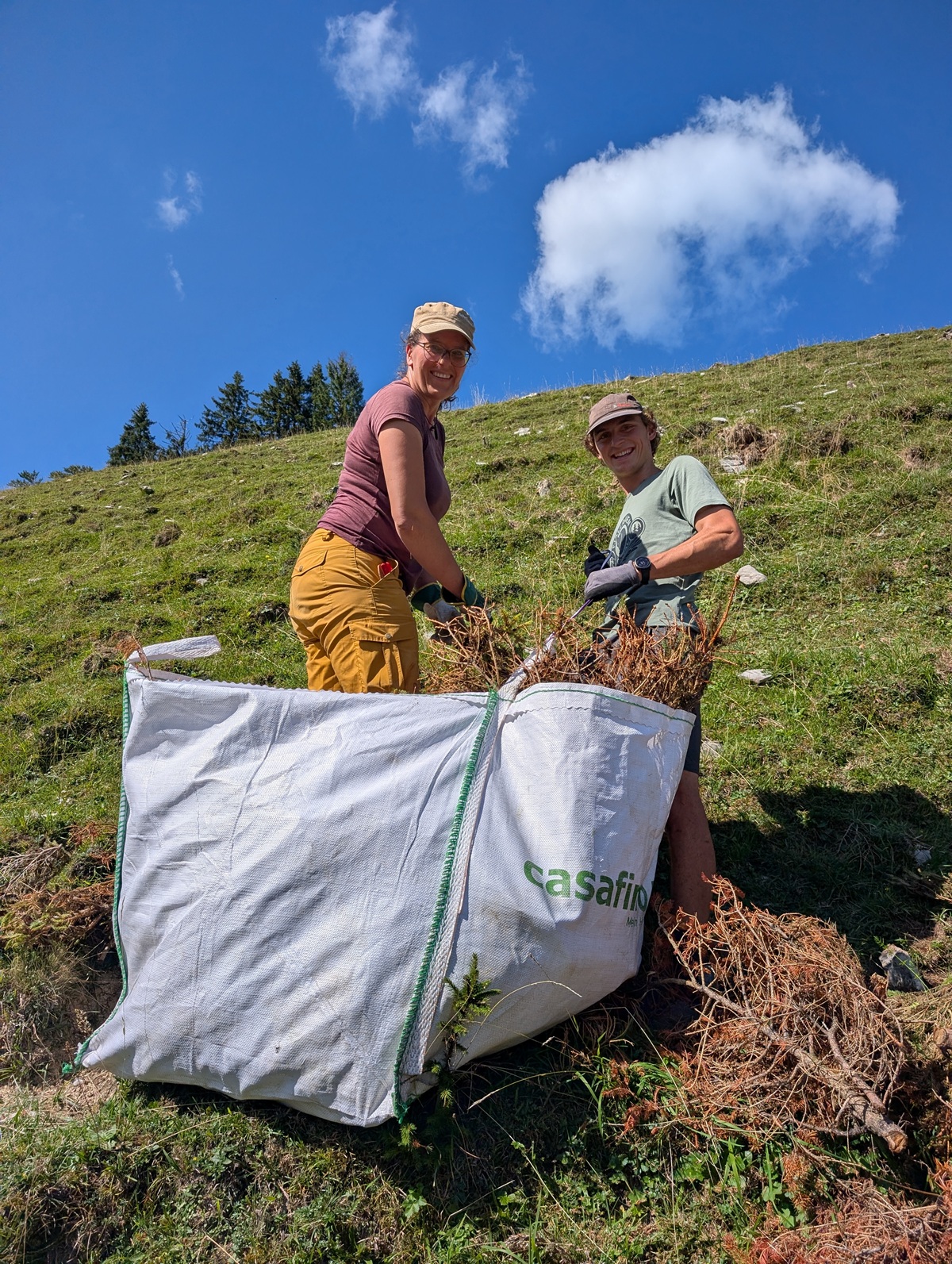 Zwei Menschen stehen auf einem grasbewachsenen Hang bei der Almpflege Lalidersalm und sammeln unter einem blauen Himmel mit wenigen Wolken Pflanzen in einen großen weißen Sack mit der Aufschrift „casafino“.