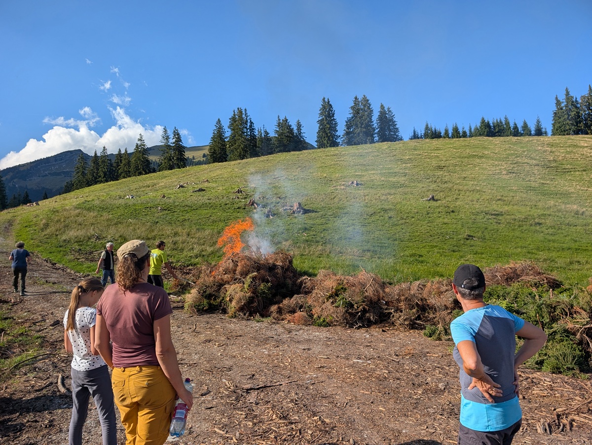 Mehrere Menschen beobachten ein kleines, kontrolliertes Feuer, das einen Haufen Äste auf einem grasbewachsenen Hang mit Bäumen und Bergen im Hintergrund verbrennt – als Teil der traditionellen Almpflege auf der Lalidersalm.