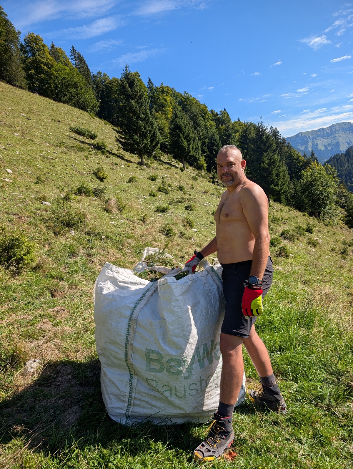 Ein Mann in Shorts und Handschuhen steht unter strahlend blauem Himmel auf einem grasbewachsenen Hang neben einem großen weißen Sack, im Hintergrund sind Bäume und Berge zu sehen, und nimmt an der Almpflege auf der Lalidersalm teil.