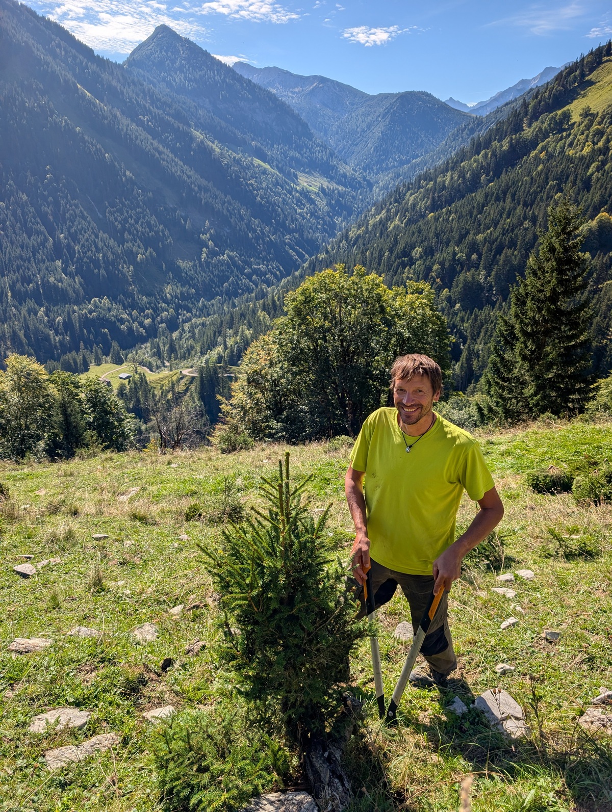 Ein Mann in einem gelben Hemd steht mit einer Gartenschere auf einem grasbewachsenen Berghang neben einer kleinen Kiefer – ein Teil der traditionellen Almpflege auf der Lalidersalm. Bewaldete Hügel und der blaue Himmel bilden eine atemberaubende Kulisse.