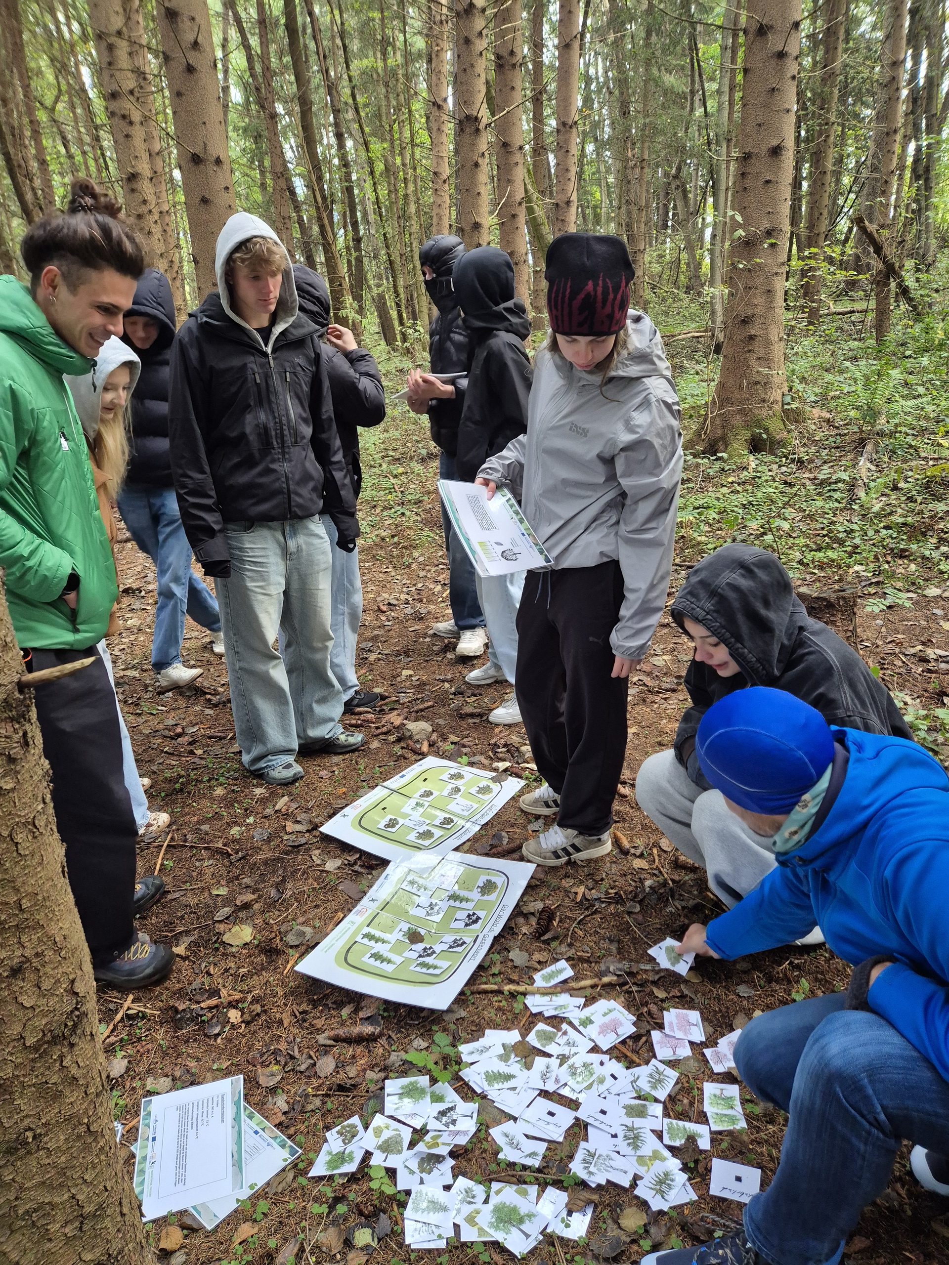 Eine Gruppe von Menschen steht in einem Wald und sortiert während einer Müllsammelaktion Karten mit Pflanzenabbildungen auf einer Karte, die auf dem Boden ausgebreitet ist.